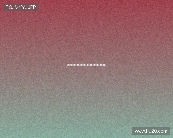 风速体育手机客户端下载安装最新版本体验全面体育赛事服务